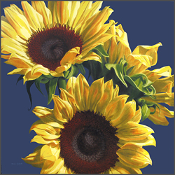 Sunflowers On Blue - Nance Danforth Paintings